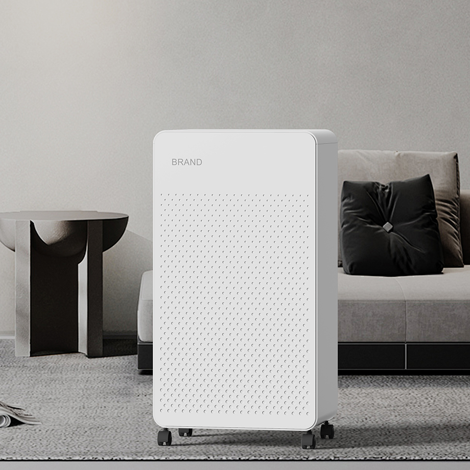 Waterproof Low Noise House Dehumidifier for Enhanced Living Spaces