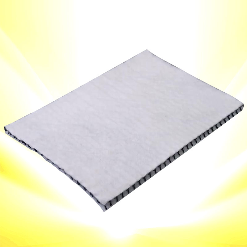 Road Construction 3D Geotextile Composites Drainage Geonet Highway Slope Protection