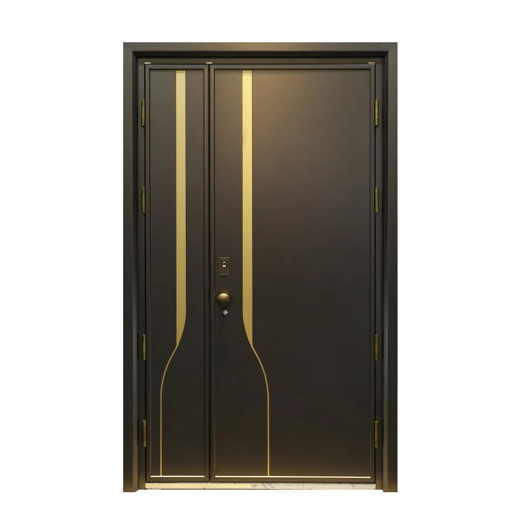 Premium Quality Modern Main Entrance Door