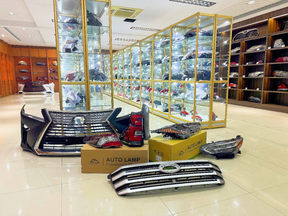 Решетка бампера переднего для Nissan Sentra 2020