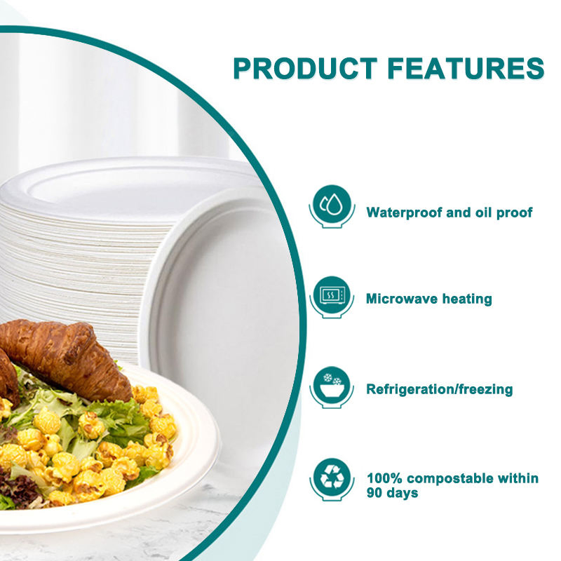 Biodegradable Sugarcane Bagasse Bowl Disposable Eco Friendly Pulp Food Container
