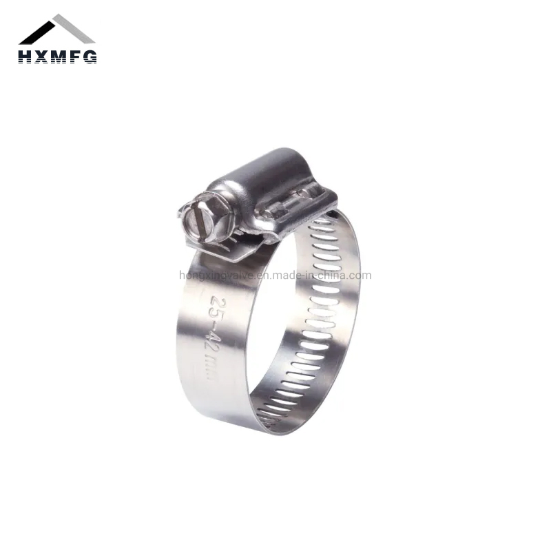 Plastic Handle Stainless Steel America Range Worm Gear Hose Clip