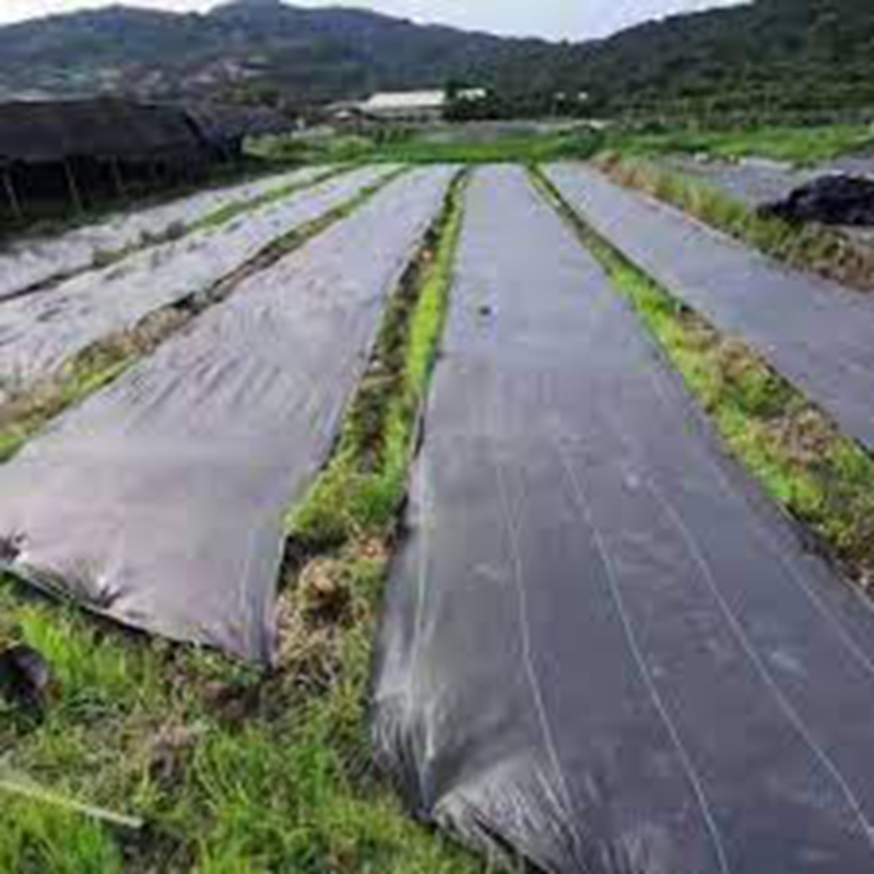 Eco-Friendly Weed Control Mat for Organic Gardening Success