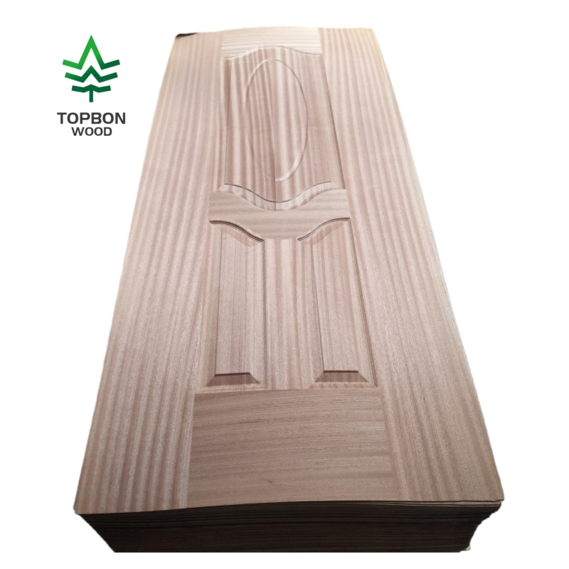 Top Quality Various Styles of Veneer Door Skin Panels