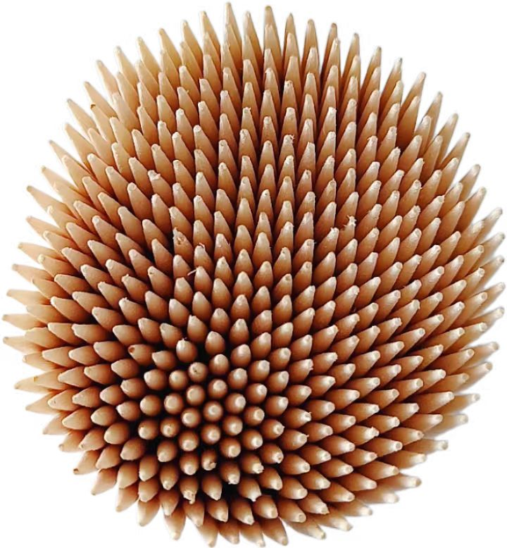 Custom Packaging Factory Plastic Bottle Paper Box Wooden Toothpicks