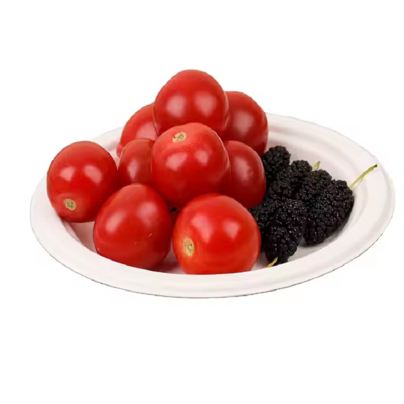 Supplier Biodegradable One Time Use Microwave Safe PP+Rice Husk Disposable Plates