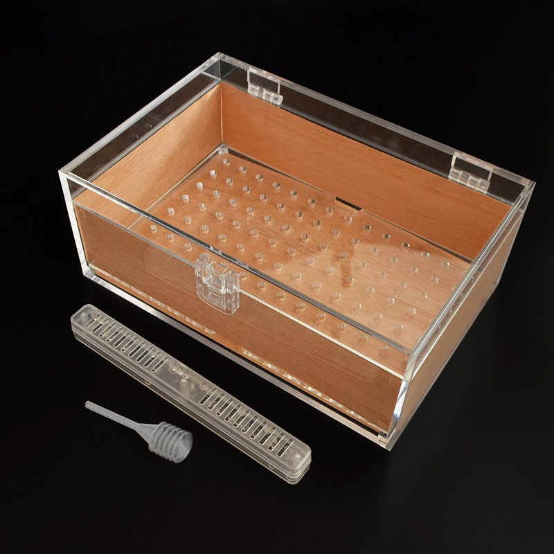 Cylindrical Transparent Plastic Cigarette Storage Bottle Box with Stainless Steel Buckle