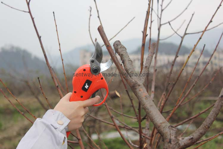 Lithium Battery 25mm 30mm 35mm 40mm 45mm Electric Pruner Scissors