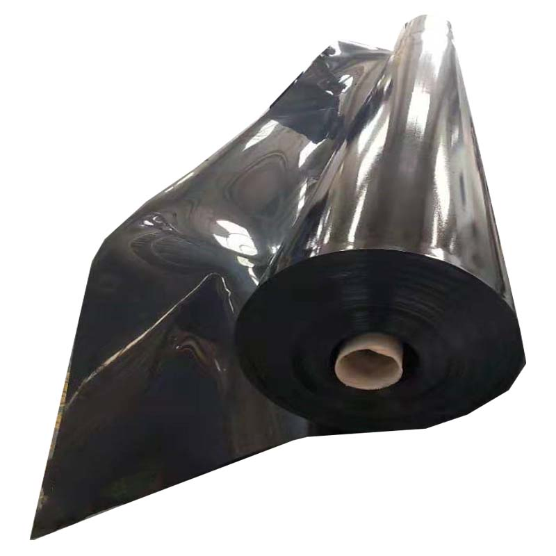 High Quality HDPE Geomembrane/HDPE Lining