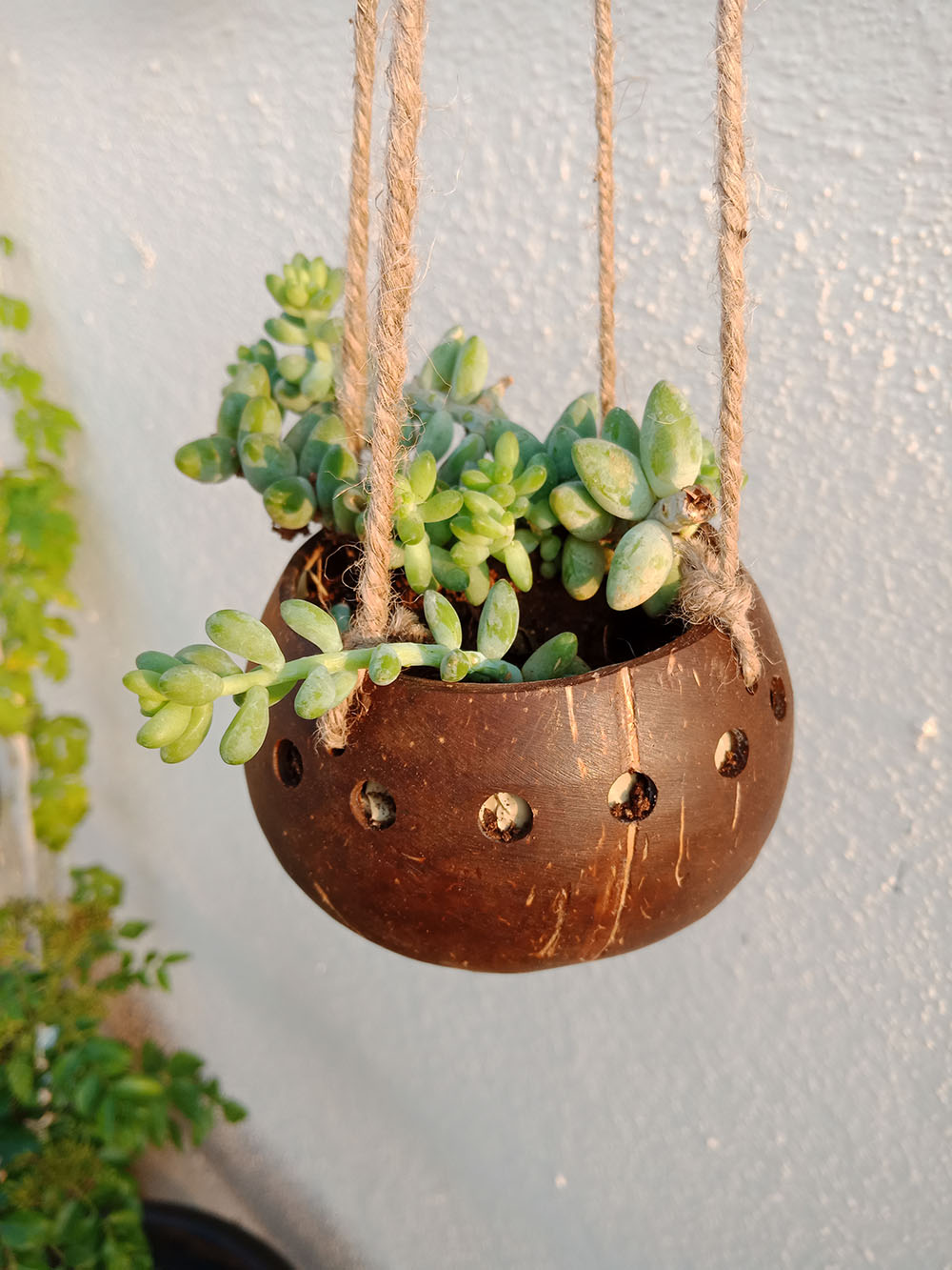 Горшки для растений уличные домашние