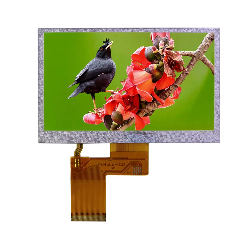 Factory Price RGB Color 4.3 Inch 480X272 Dots Tn TFT LCD Display