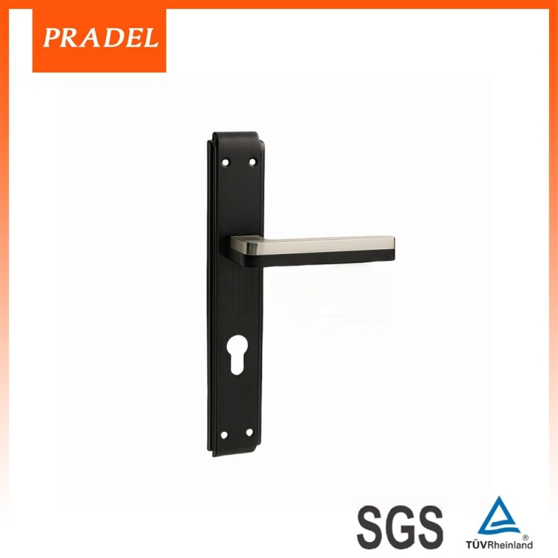 Premium Stainless Steel Exterior Door Handle with Lock Plate