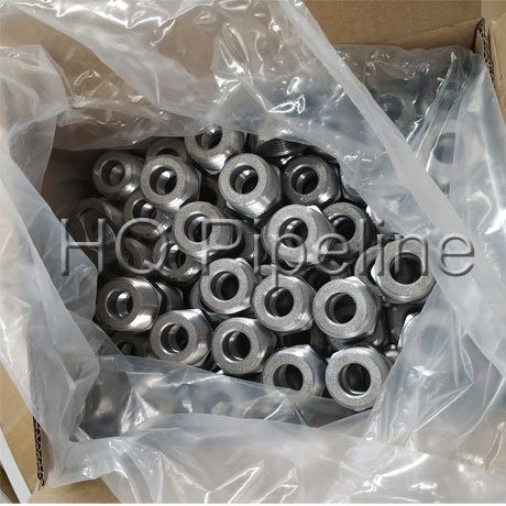 Forged Steel Thread Pipe Fittings/A105 NPT Threaded Hexagon Bushing