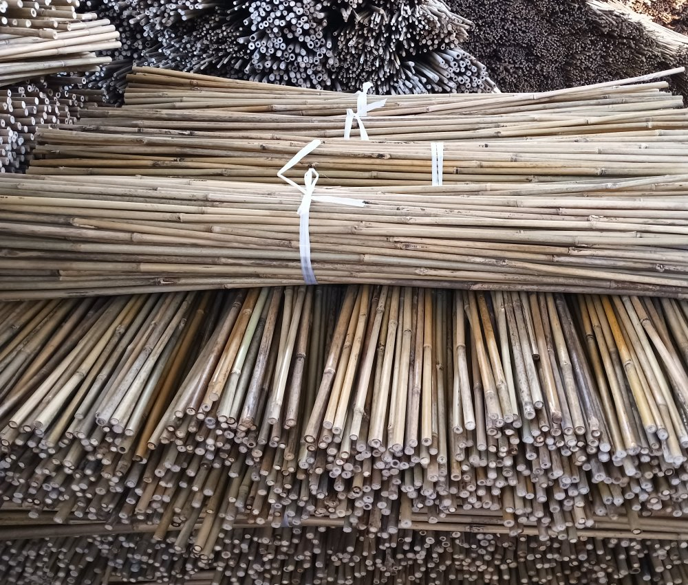 Bamboo Poles for Garden Railing