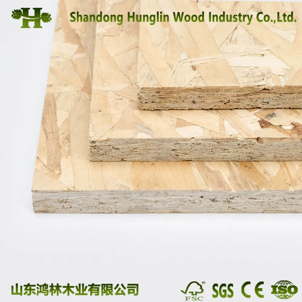 Hight Quality OSB for Selling From China Manufacturer Waterproof OSB Board