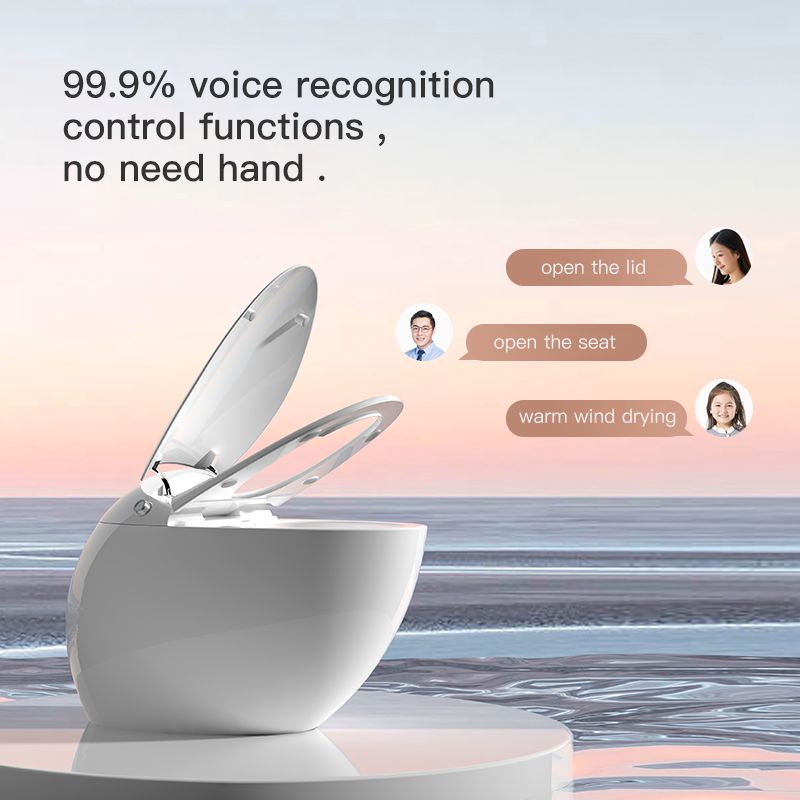 Floor Mounted Ceramic Sanitary Ware Siphonic Automatic Flush Intelligent Smart Toilet