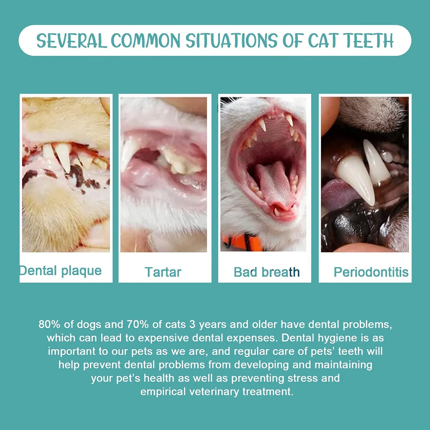 Dental Care Mint Flavor Oral Cleaning Bad Breath Foam Pet Toothpaste