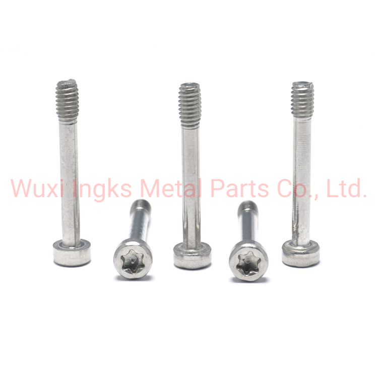 6 Lobes Inox A2 A4 Socket Cap Head Torx Captive Screw