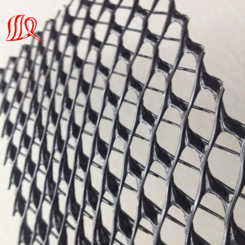 High Quality HDPE Drainage Geonet for Construction