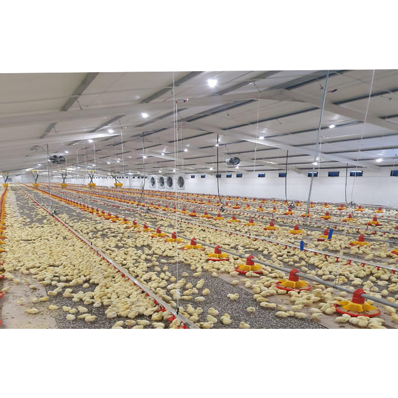 Prefabricated Quick Install Light Metal Frame Structure Design Automatic Construction Chicken Coop Broilers Layers House Poultry Farm Shed
