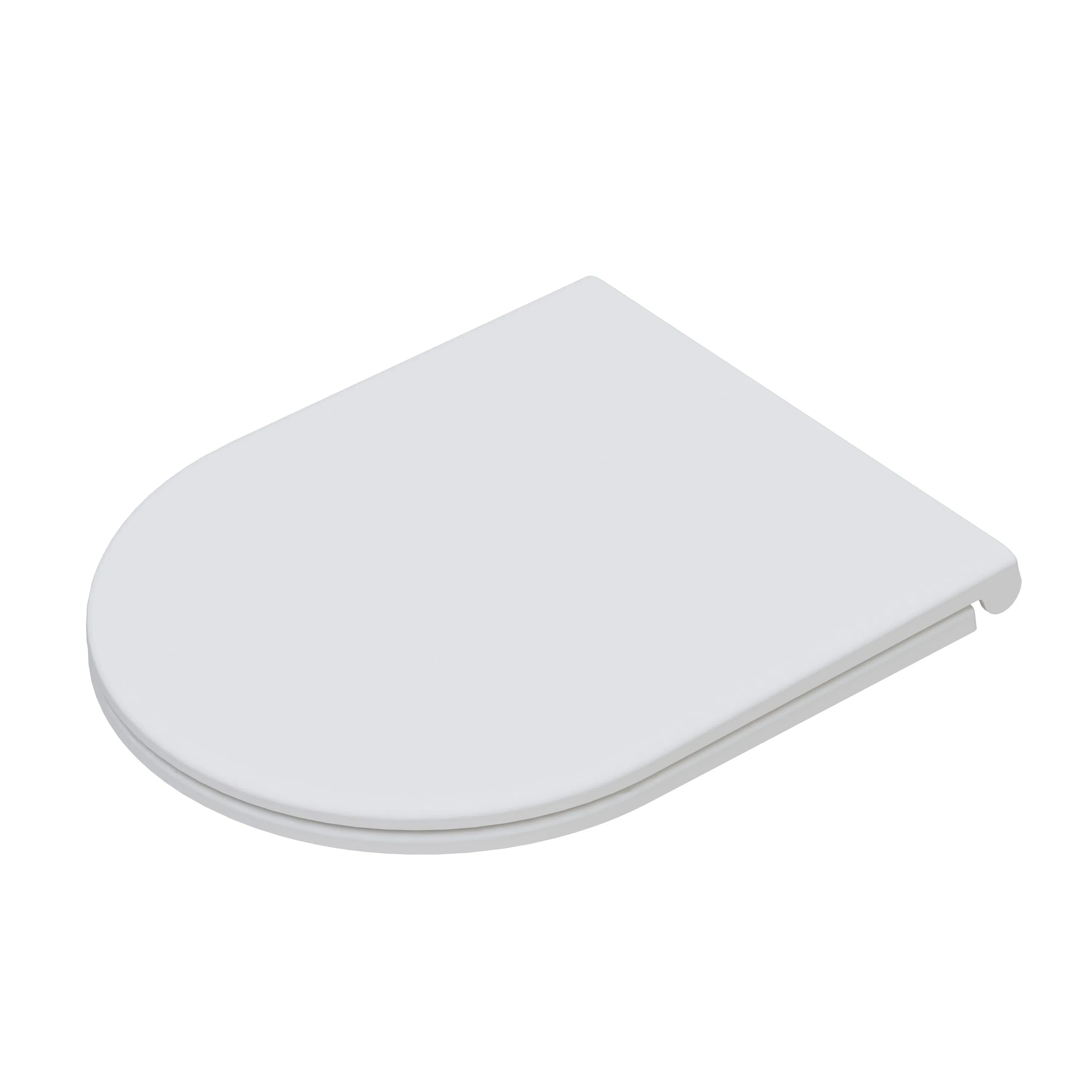 Contemporary Matte D-Shape Toilet Seat for Elegant Bathrooms