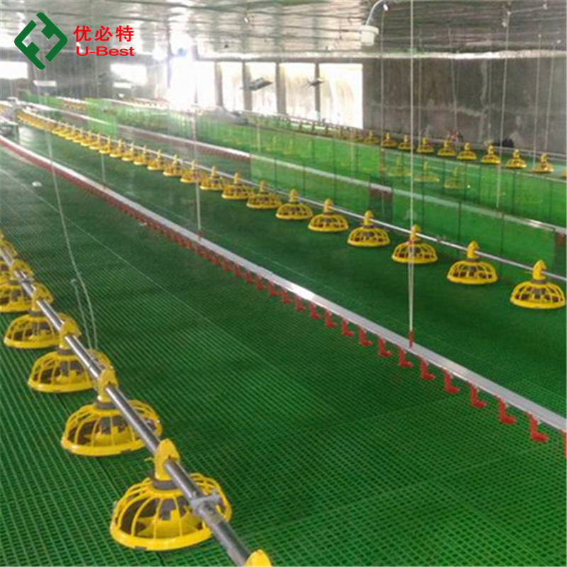 Chicken Automatic Feeding System Poultry Feed Line System Poultry Farm Equipment