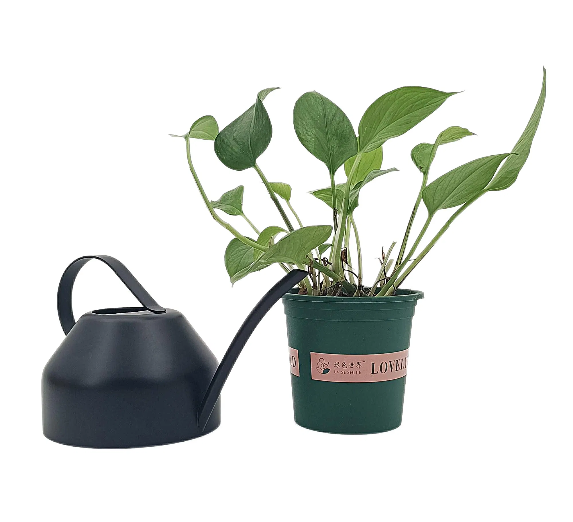 Good Price Modern Decorative Small Black Indoor Garden Flower Watering Can with Long Spout