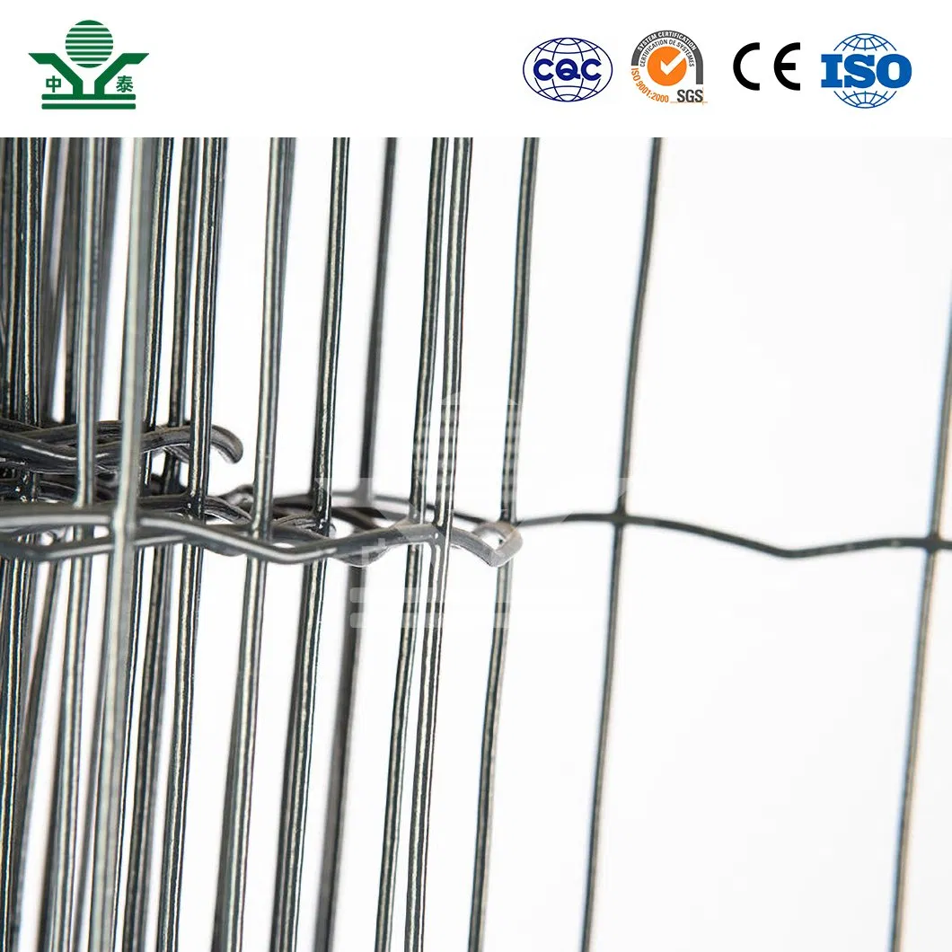 Zhongtai Dutch PVC-Coated Wire Mesh Fence China Manufacturing Dutch Holland Wire Mesh 5 - 25 M Length Dutch Wire Mesh Garden Fence