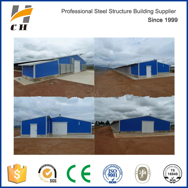 China Suppilers Professional Closed Type Environmental Controlled Poultry Farming Shed