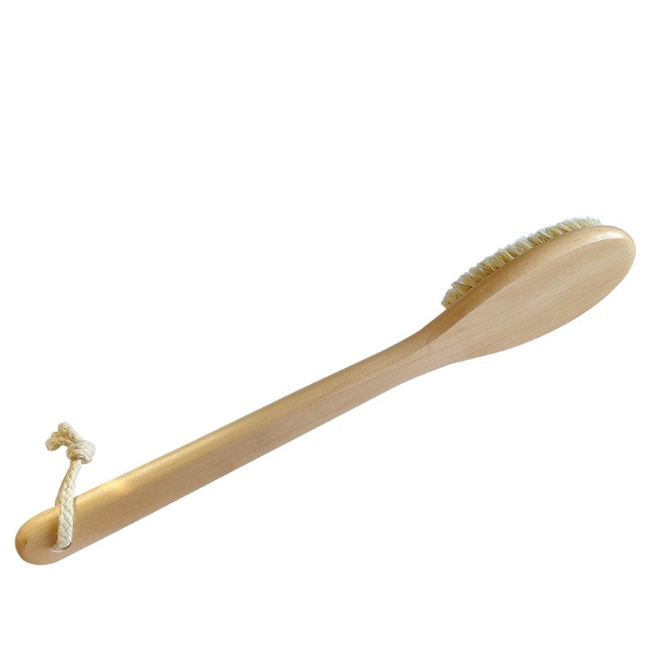 OEM/ODM Natural Brush Long Handle Body Bath Back Brush
