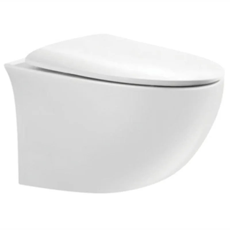 Ceramic Bathroom Sanitary Ware Toilet Wall Hung Mounted Bidet