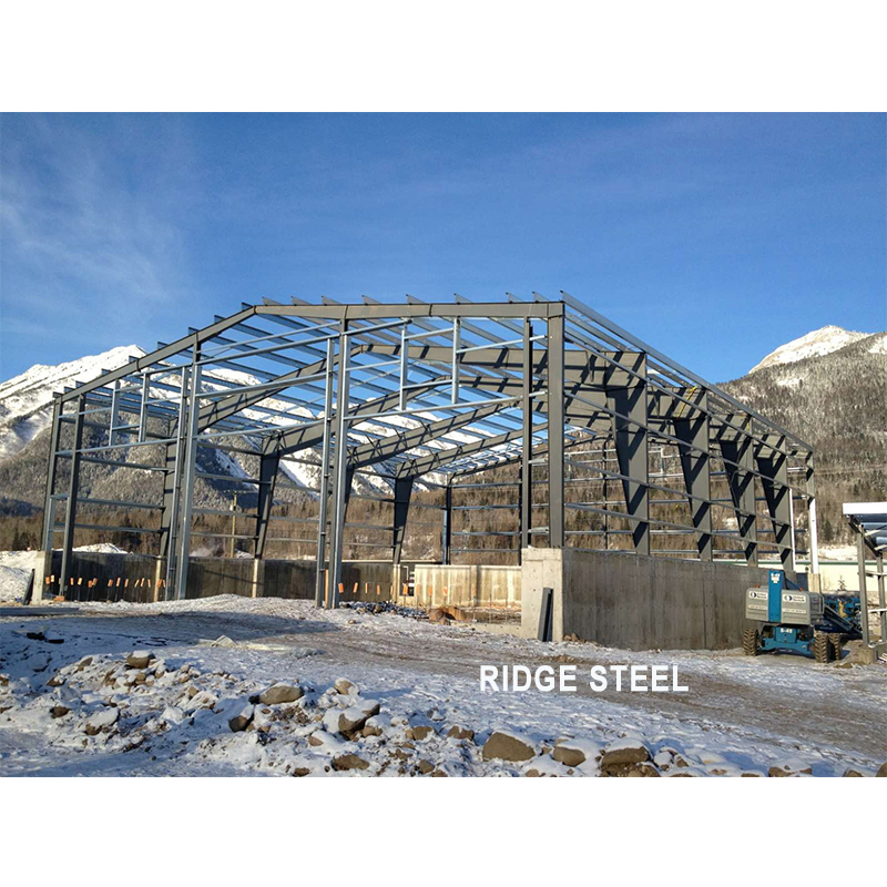 Fast Assemble Steel Structure Workshop Industrial Design Fabricated Building Shed