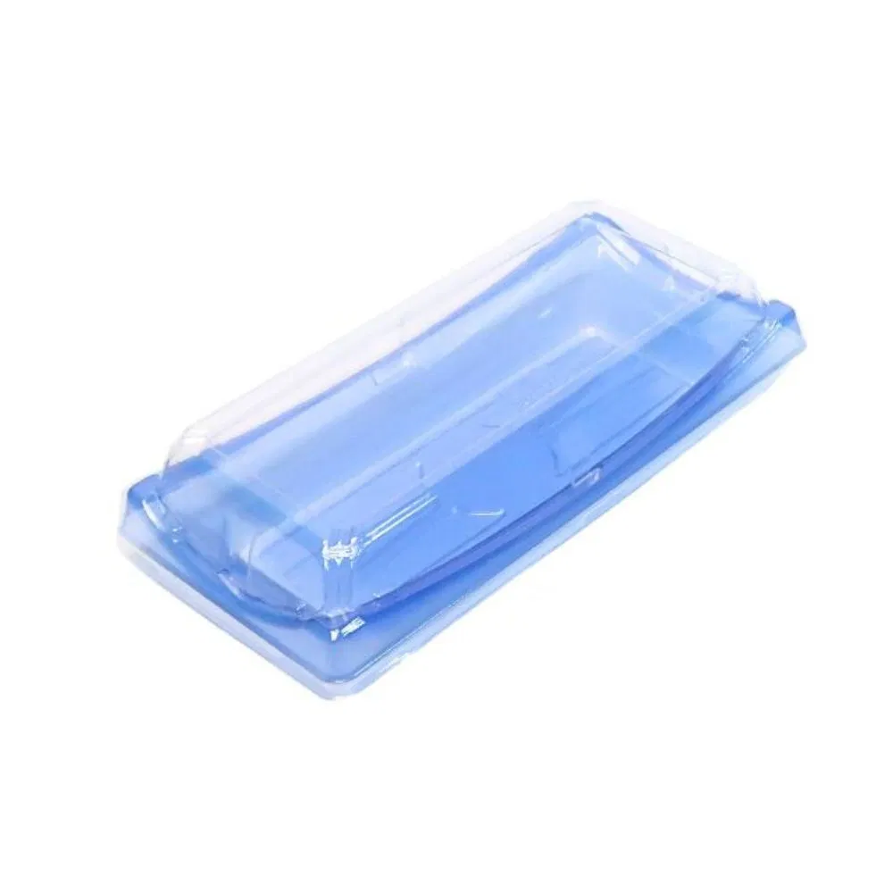 Supplier Wholesale Competitive Price Disposable Food Packaging Plastic Cnntianer Boat Shape Sushi Packaging Tray with Clear Lids