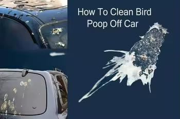 New Function Product Removing Special Wipes Designed Explicitly Bird Poop Cleaning Wipes