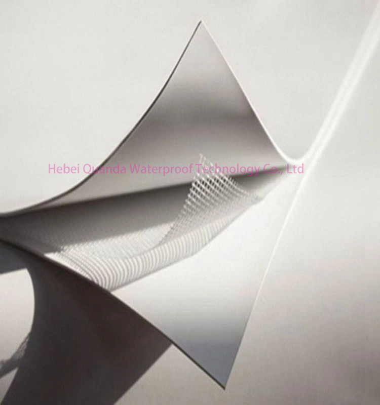 0.8mm Outdoor Tpo Waterproof Membrane Construction/Building Material Waterproofing Membrane