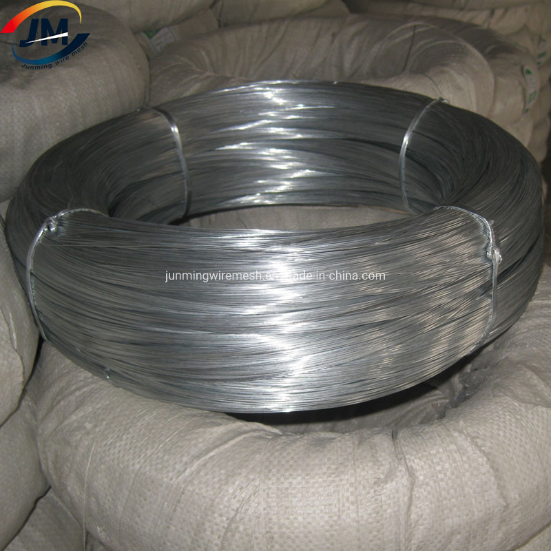 Hot Dipped/Electric Galvanized Mild Steel Binding Wire/Black Annealed Rebar Iron Tie Wire 16 Gauge Stainless Steel Spool for Construction/Building Material