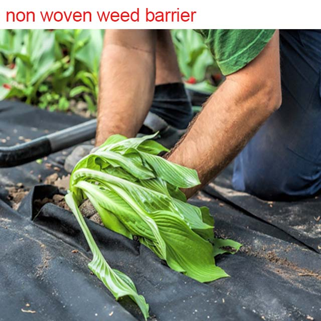 Rugged-Terrain Spunbond Weed Mat for Challenging Ground