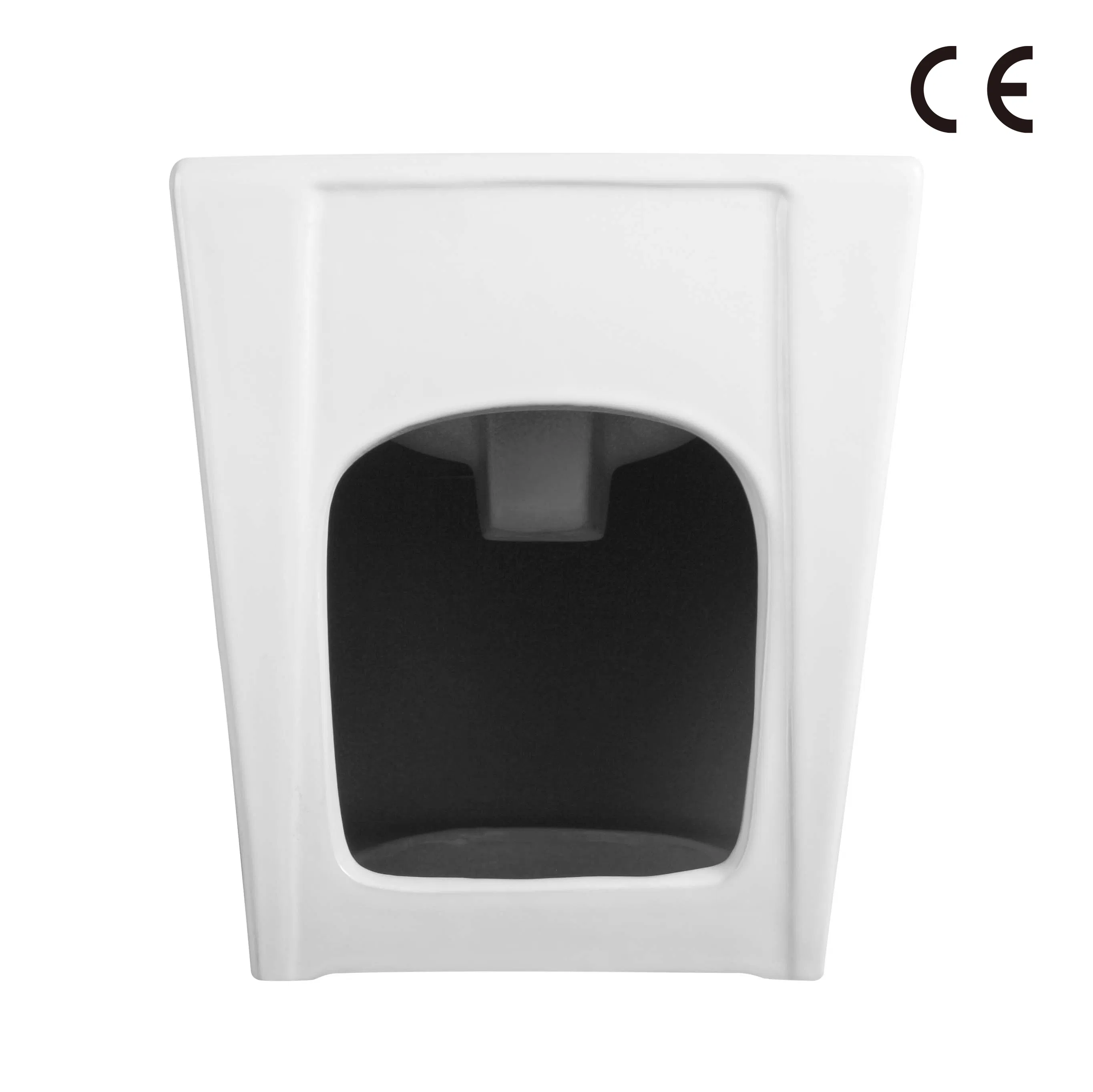 Elongated Concise Gloss White Floor Mounted Floor Standing Bidet