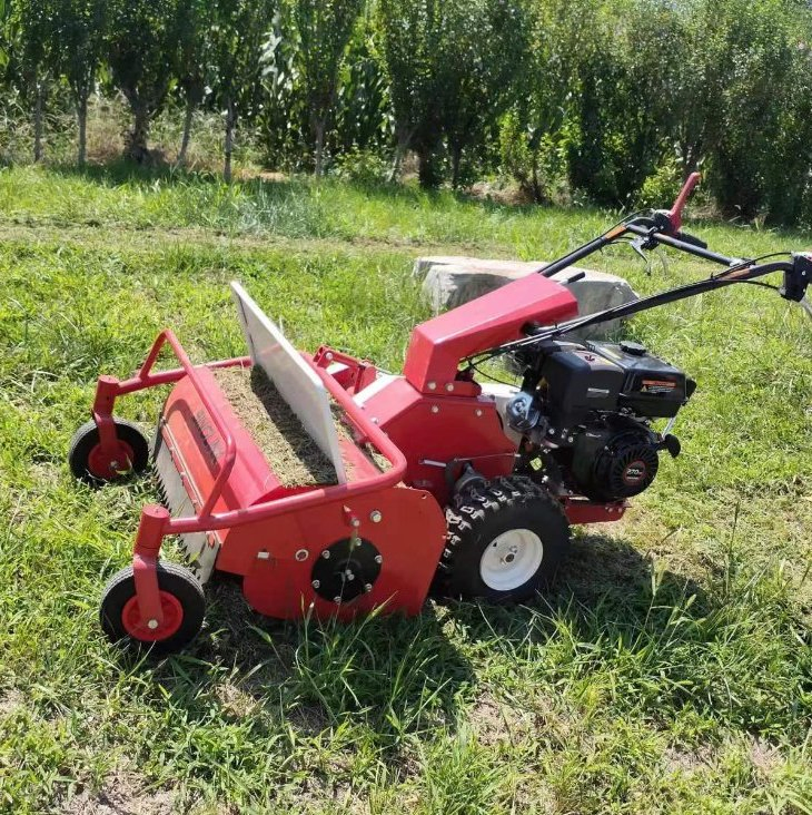High Quality 680mm Working Width Walking Behind Flail Lawn Mower for Weed Brushwood and Hard Grass