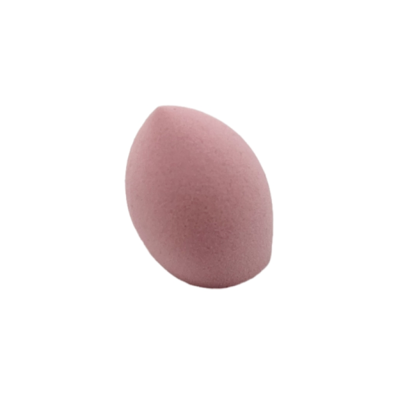 Hydrophilic Makeup Sponge Cosmetic Makeup Beauty Sponge Biodegradable Foundation Blender