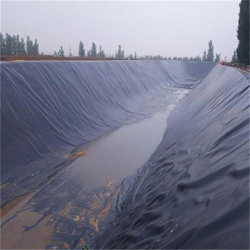 Geomembrane HDPE Liner Textured HDPE Geomembrane Composite Geomembrane Liner HDPE Liner Pond Liner Geomembrane
