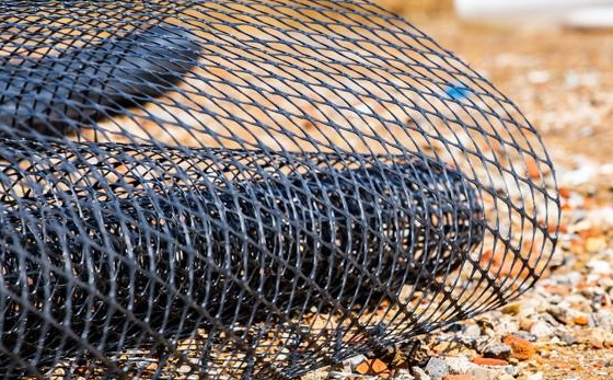 Uniaxial Biaxial Polyester Geogrid for Retaining Walls/Reinforcement Pet Geogrid Polyester Uniaxial Geogrid Steep Slop, Dam, Road Base Low Price in South Africa