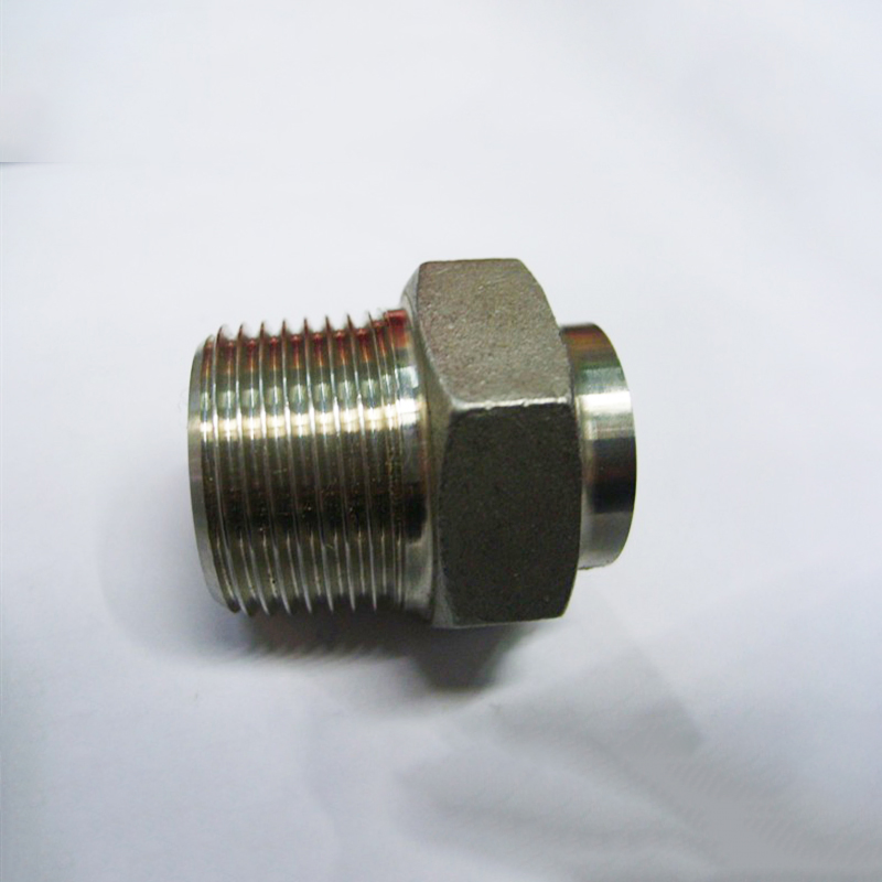 Bsp / NPT Forged Stainless Steel Union