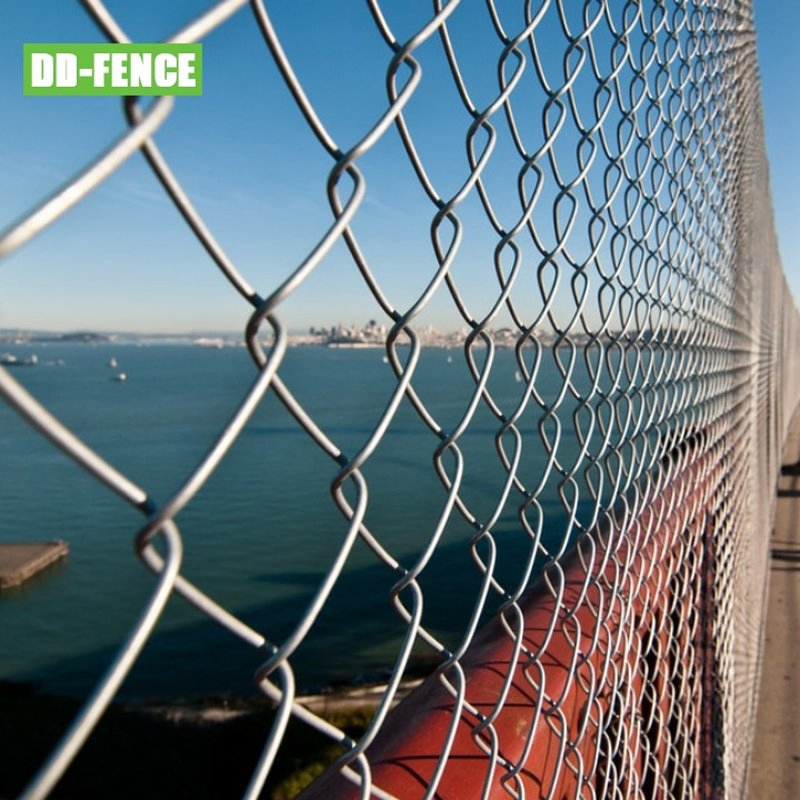 ASTM F1664-08 Standard High Quality PVC Coated Chain Link Netting Fencing Sports Fence