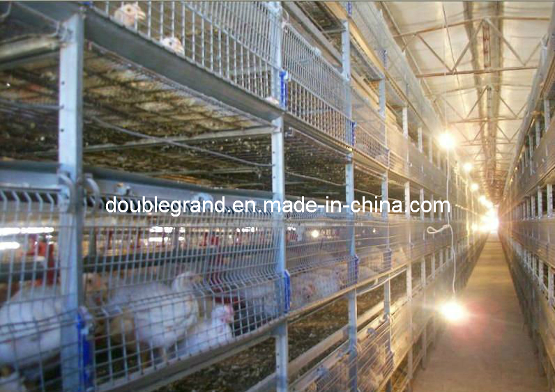 Prefab Steel Structure Poultry House, Chicken House, Farm Building