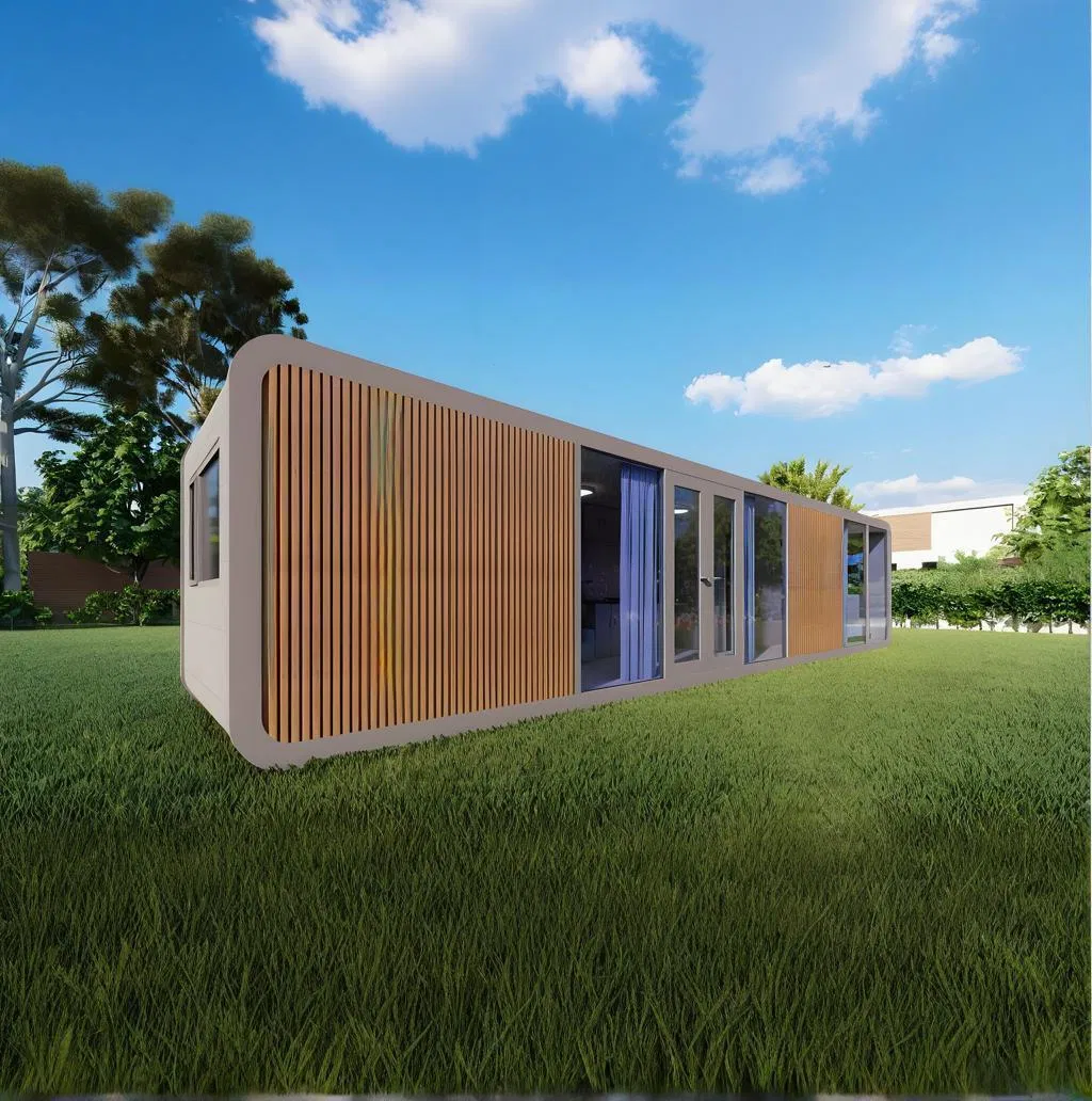 Custom Interior Apple Capsule Cabin