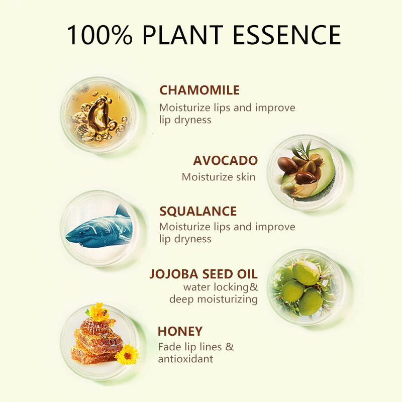 Organic Jojoba Seed Oil Moisturizing Nourishing Green Chamomile Lip Balm Lipstick Vegan Clear Lipstick