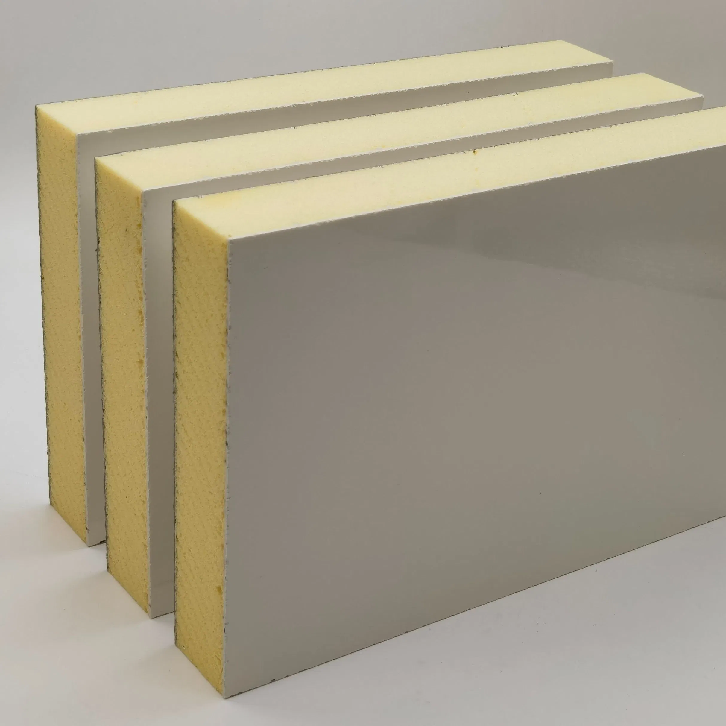 Thermal Insulation Foam Board FRP XPS Foam Core Panel for Cold Storage