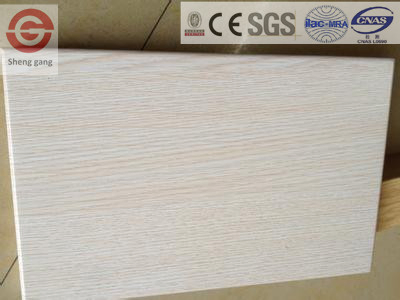 Fire Resistant Interior Wall Panel Magnesium Oxide Board
