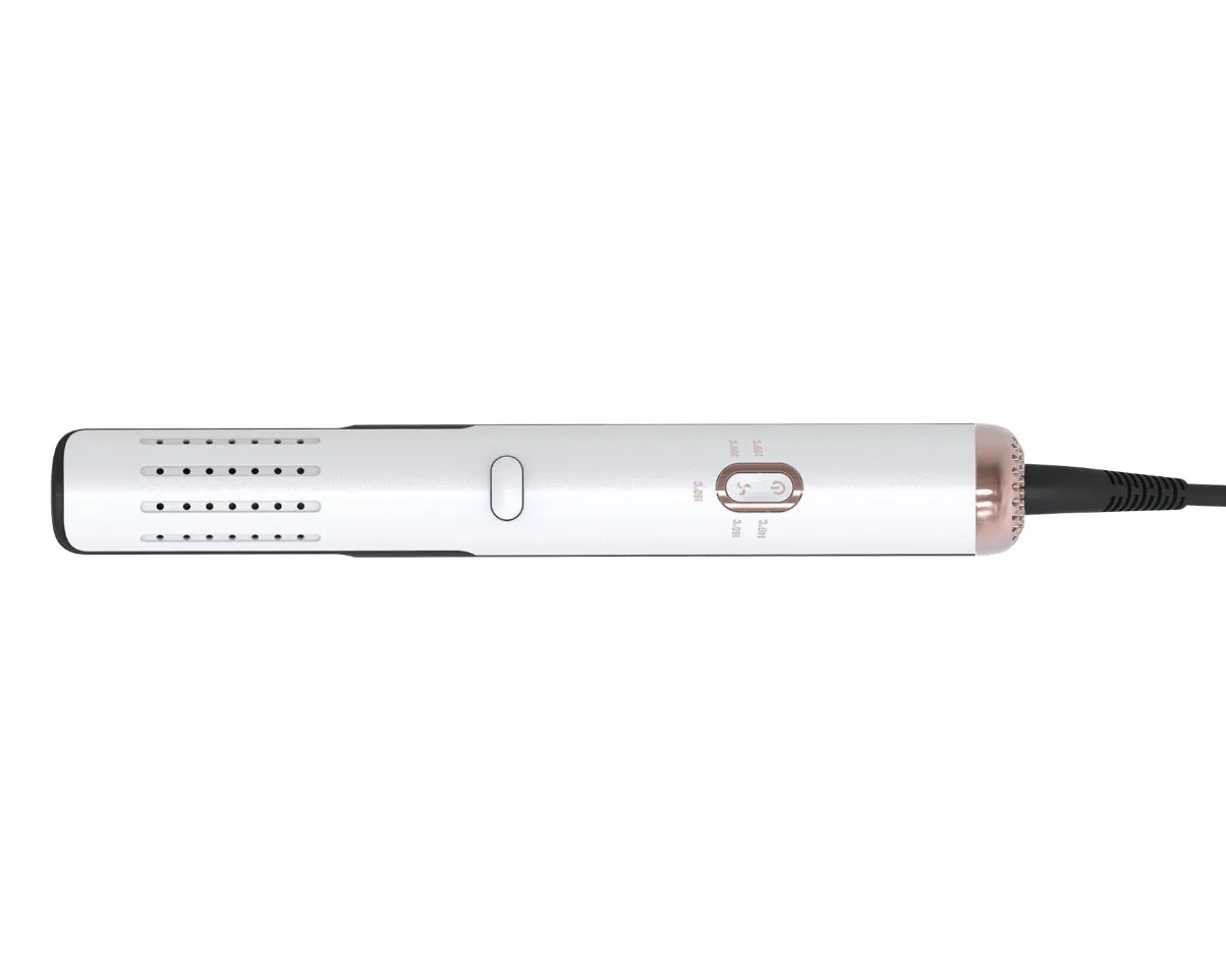Wholesale OEM Japan Korea Us EU BS Plug Custom 2 in 1 Hot Air Styler